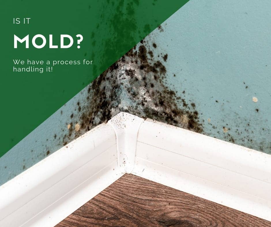 how to handle mold in a rental what do I do if there is mold on the rental property
