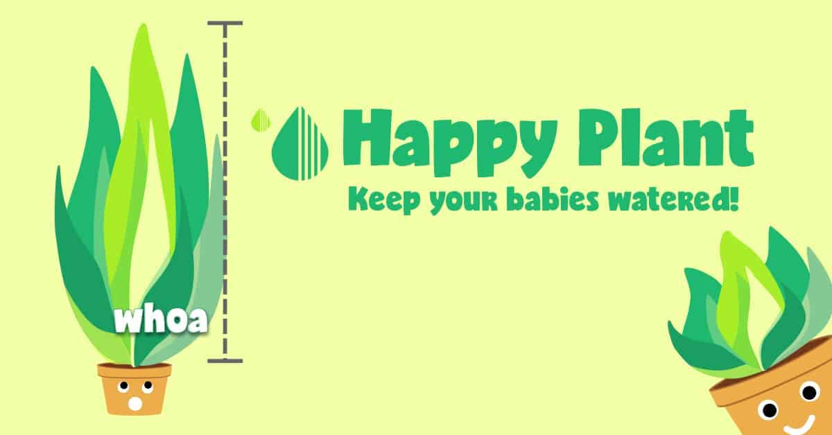 Happy Plant