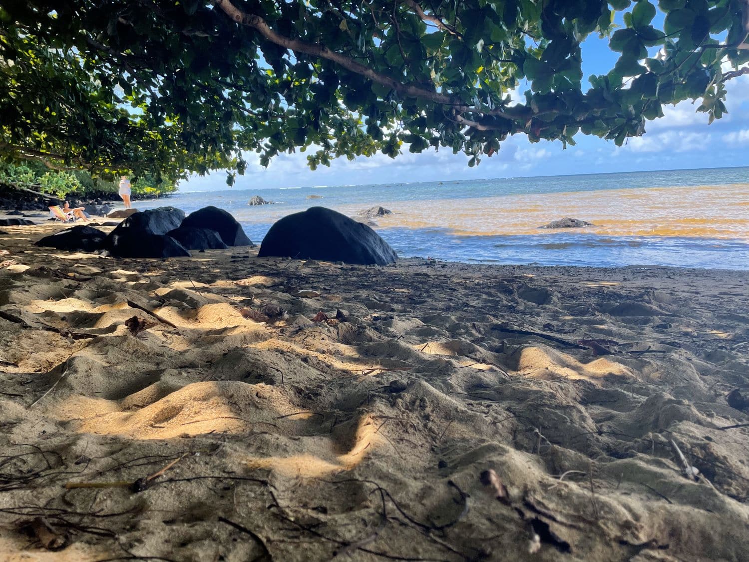 beach 1